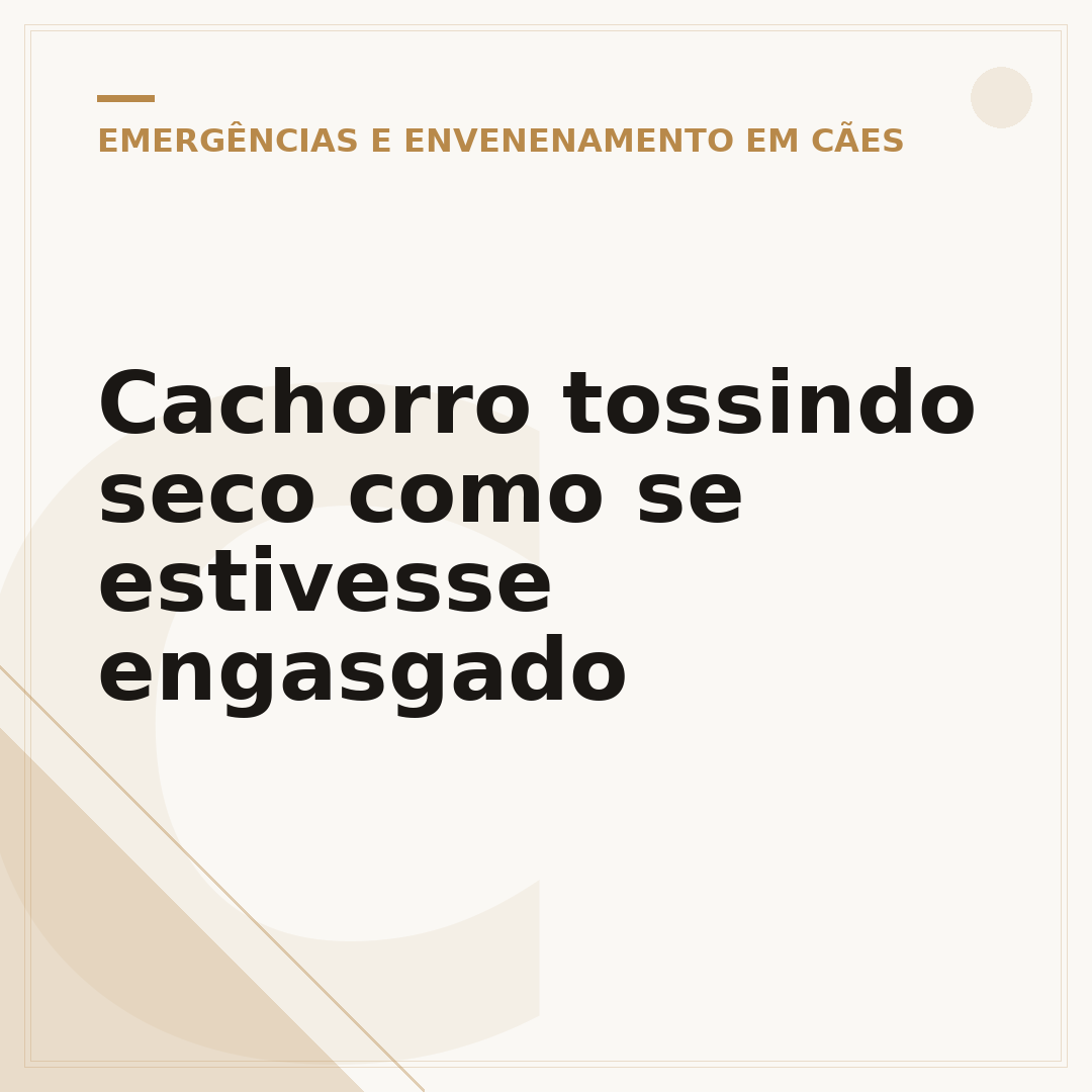 Cachorro tossindo seco como se estivesse engasgado