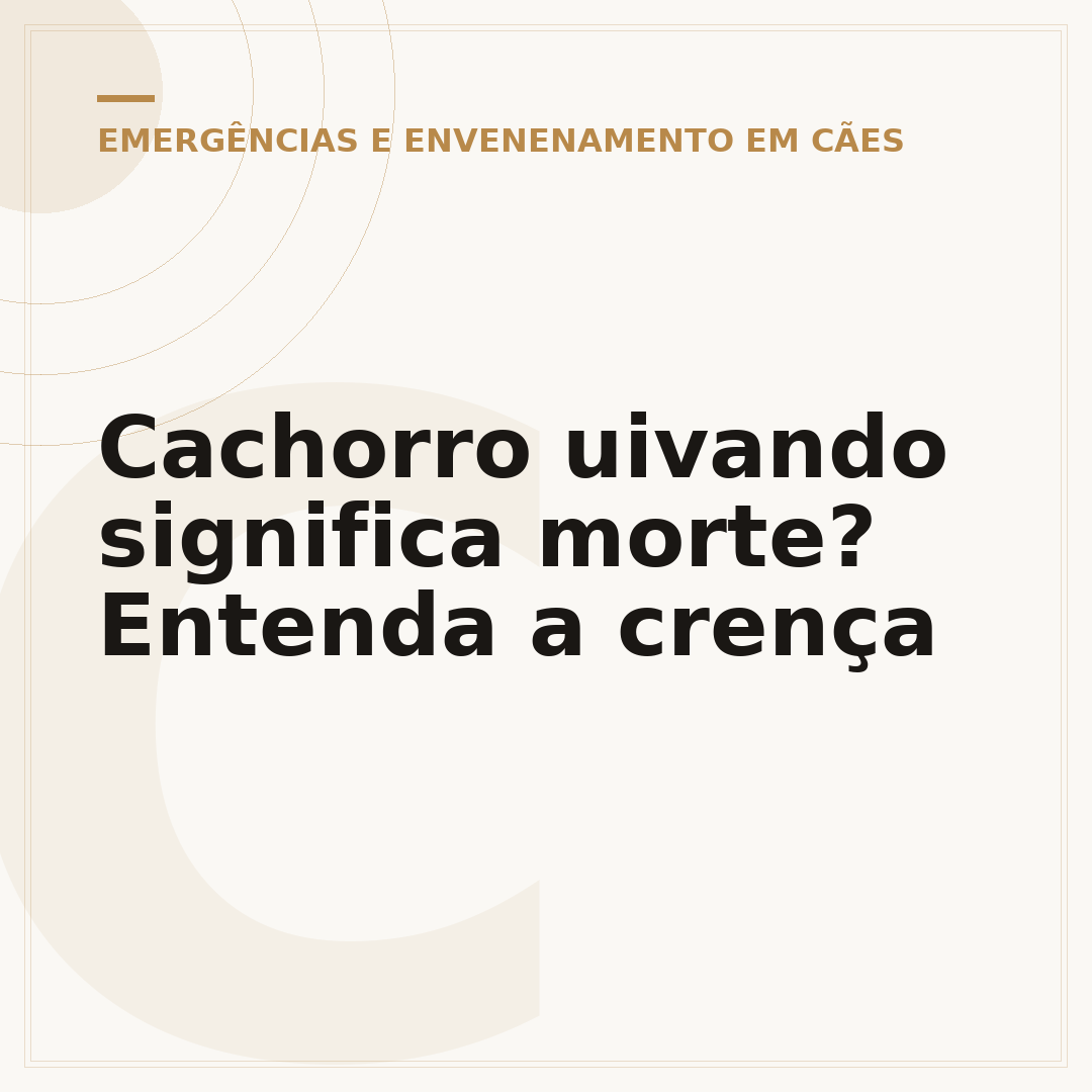 Cachorro uivando significa morte? Entenda a crença