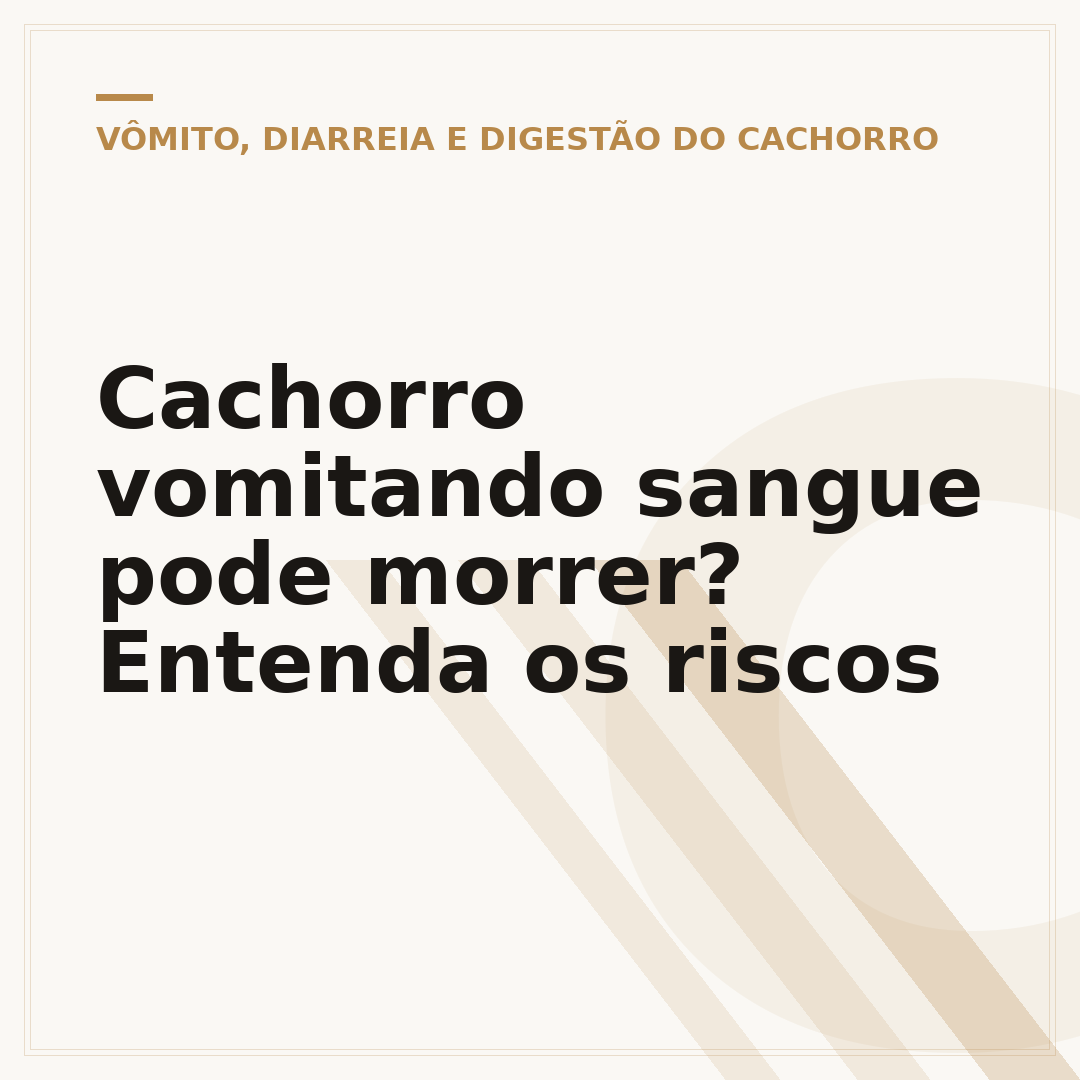 Cachorro vomitando sangue pode morrer? Entenda os riscos