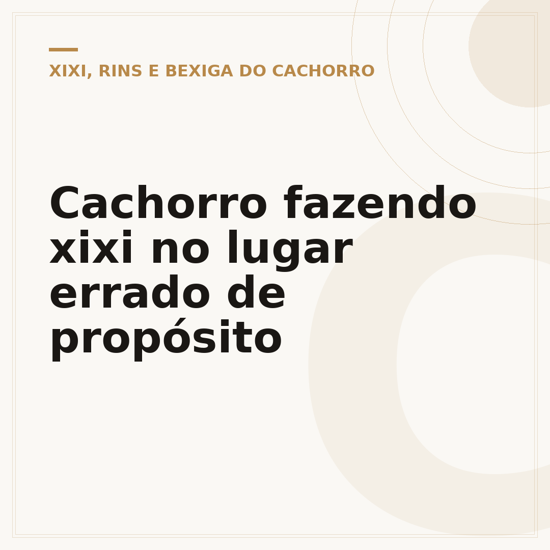Cachorro fazendo xixi no lugar errado de propósito