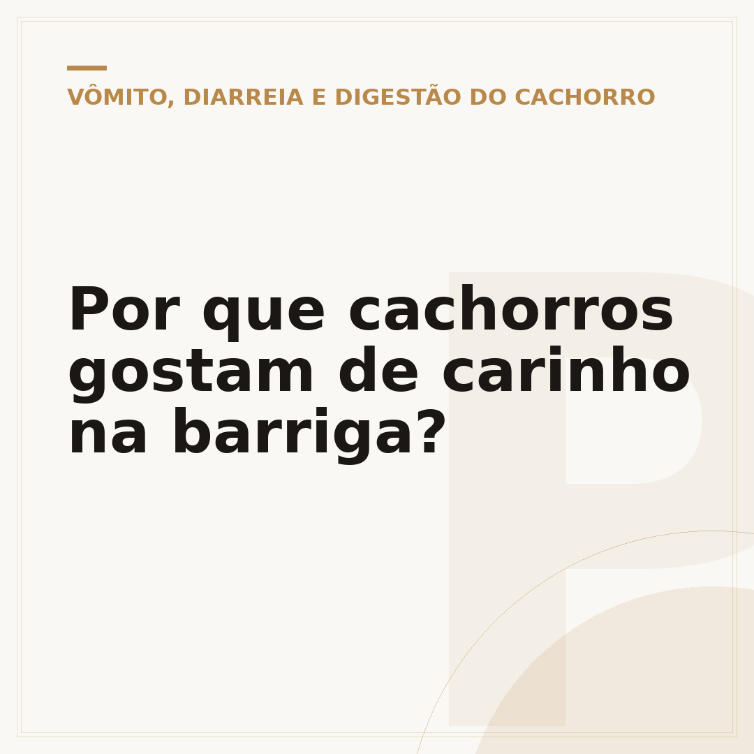 Por que cachorros gostam de carinho na barriga?