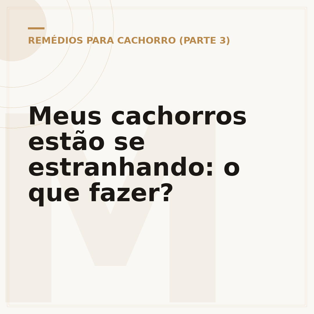 Meus cachorros estão se estranhando: o que fazer?