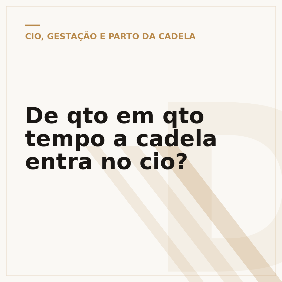 De qto em qto tempo a cadela entra no cio?