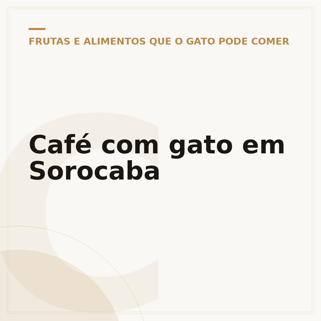 Café com gato em Sorocaba