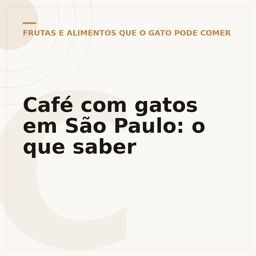 Café com gatos em São Paulo: o que saber