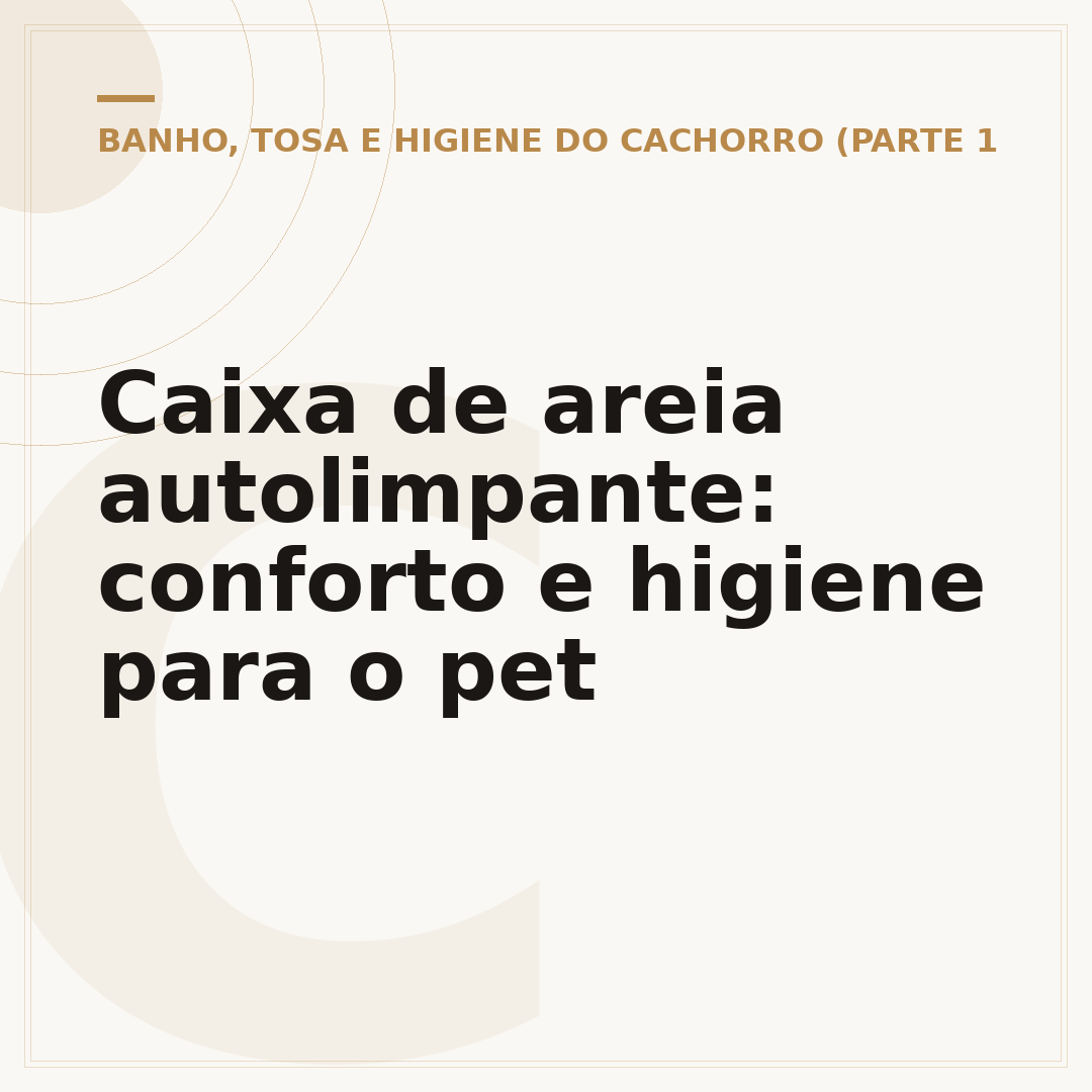 Caixa de areia autolimpante: conforto e higiene para o pet