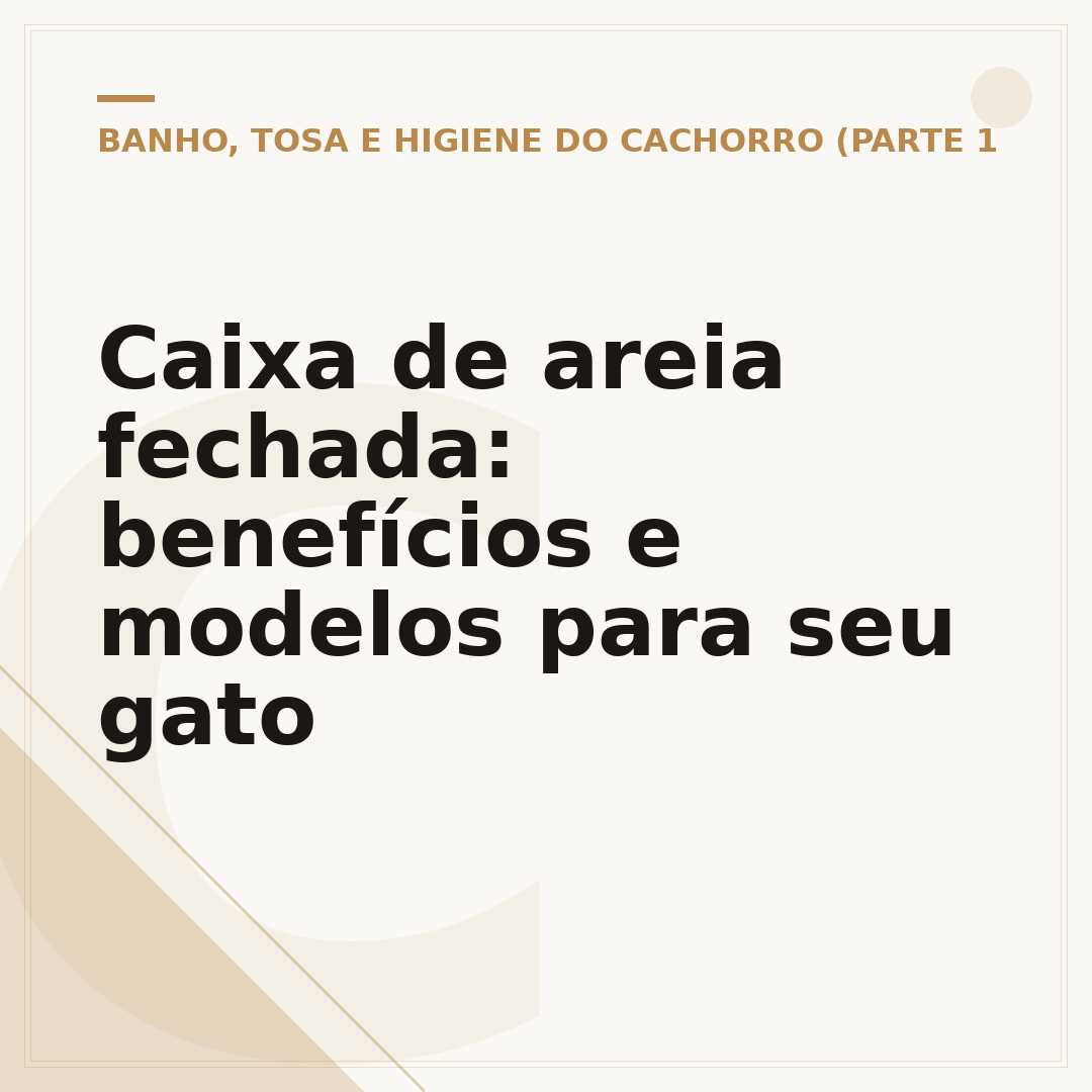 Caixa de areia fechada: benefícios e modelos para seu gato