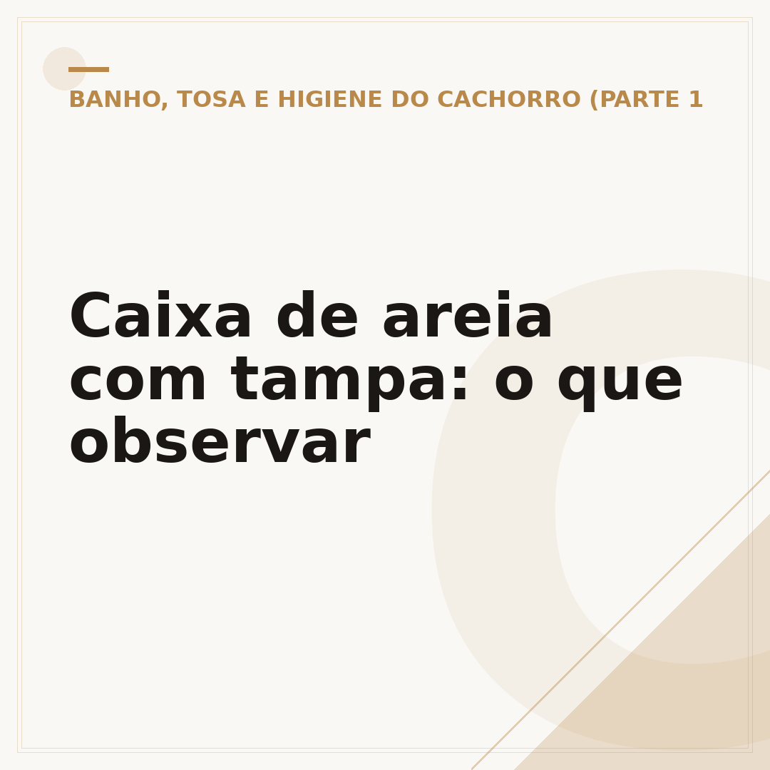 Caixa de areia com tampa: o que observar