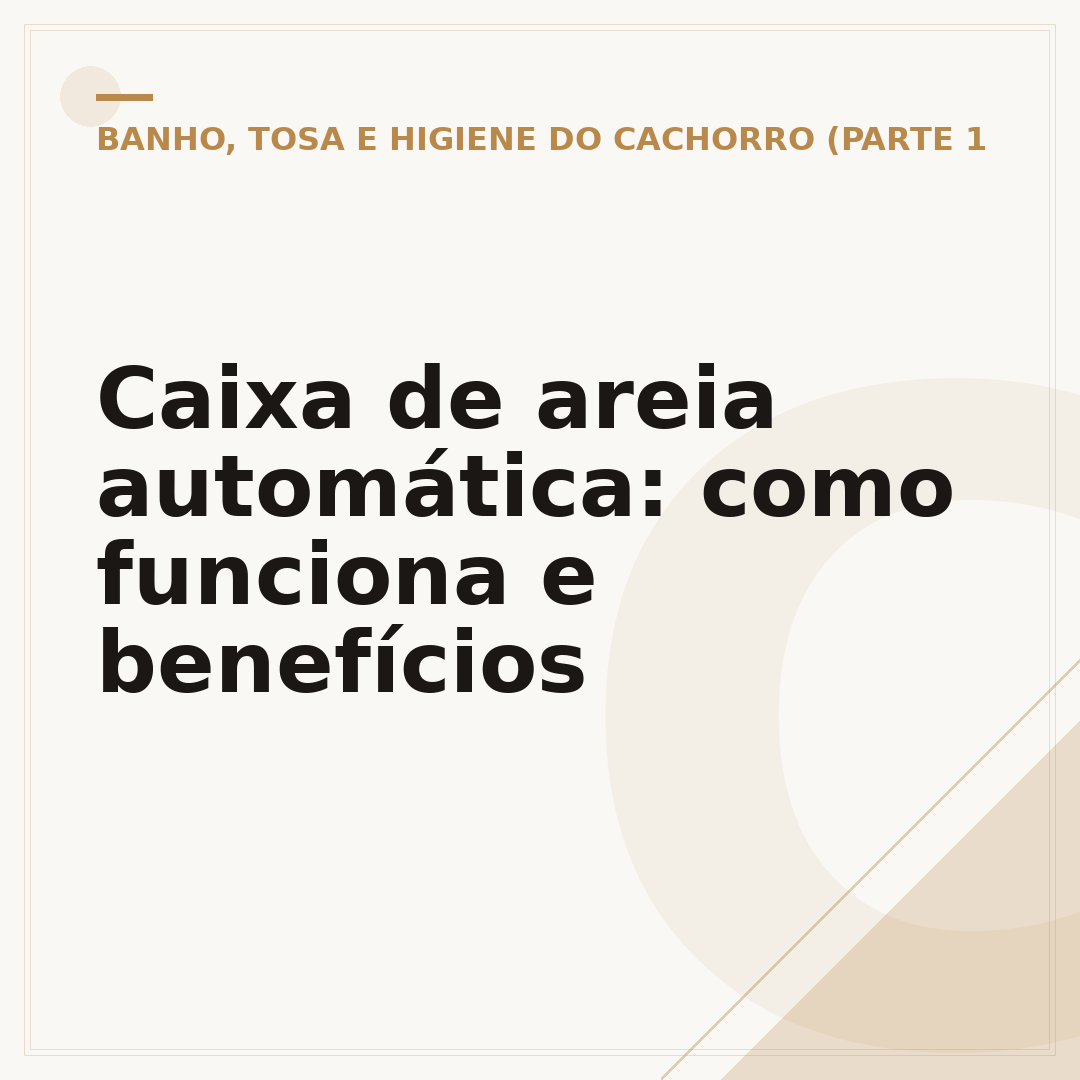 Caixa de areia automática: como funciona e benefícios