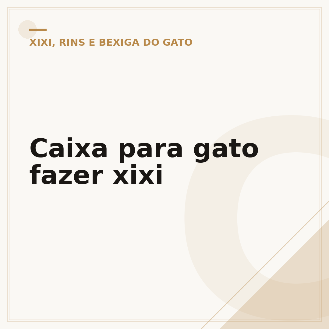Caixa para gato fazer xixi