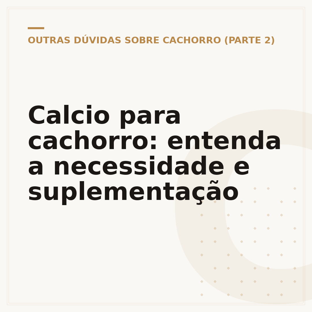 Calcio para cachorro: entenda a necessidade e suplementação