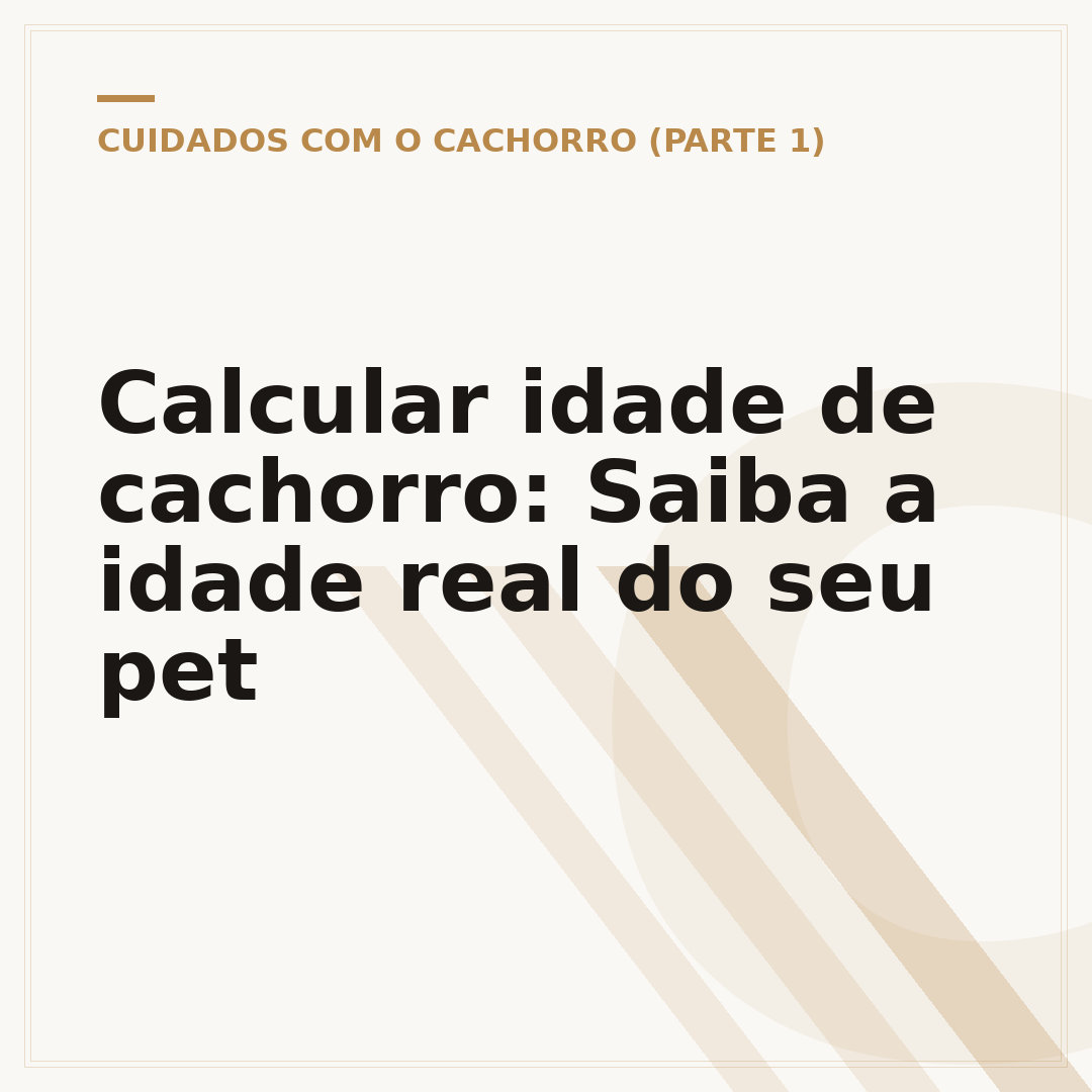 Calcular idade de cachorro: Saiba a idade real do seu pet