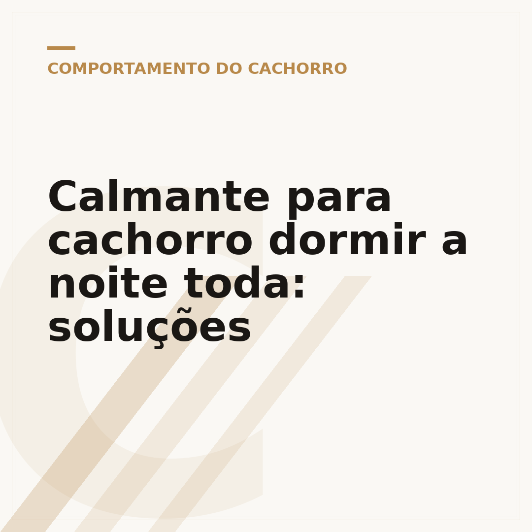 Calmante para cachorro dormir a noite toda: soluções