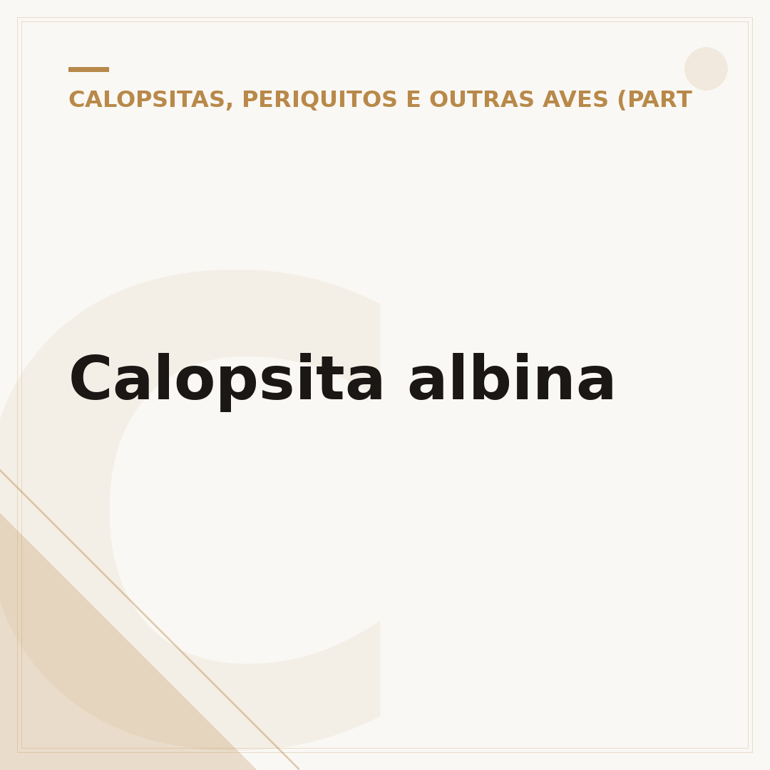 Calopsita albina