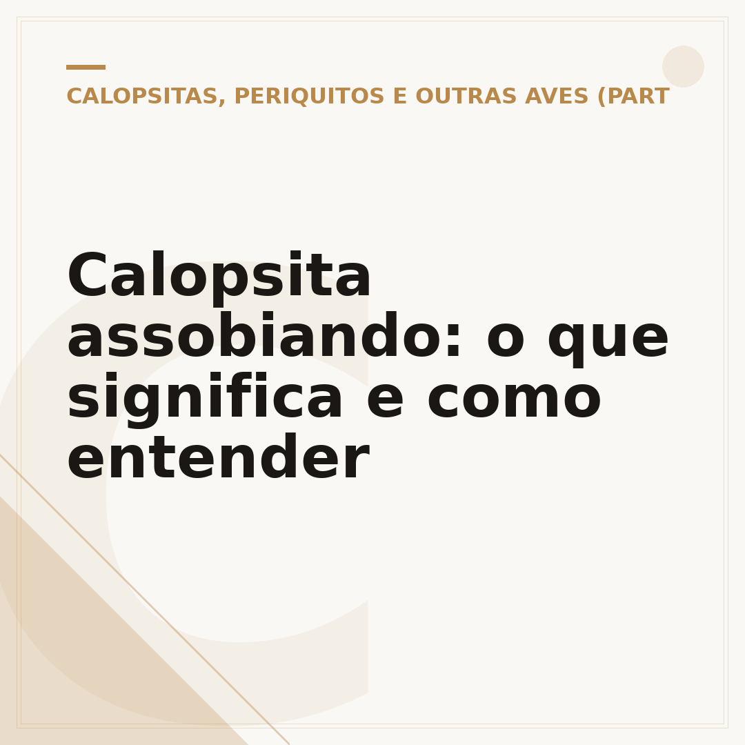 Calopsita assobiando: o que significa e como entender