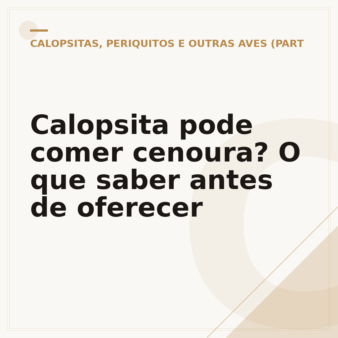 Calopsita pode comer cenoura? O que saber antes de oferecer