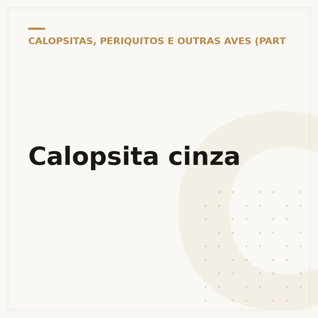 Calopsita cinza