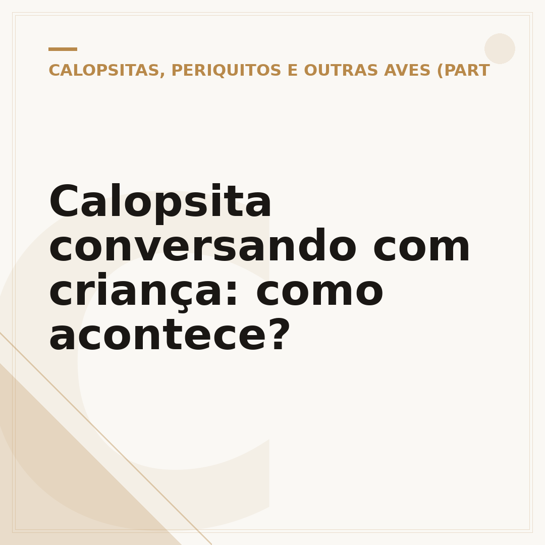 Calopsita conversando com criança: como acontece?