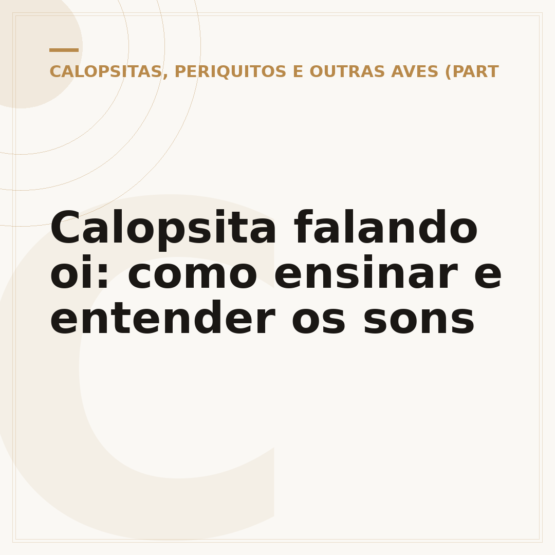 Calopsita falando oi: como ensinar e entender os sons