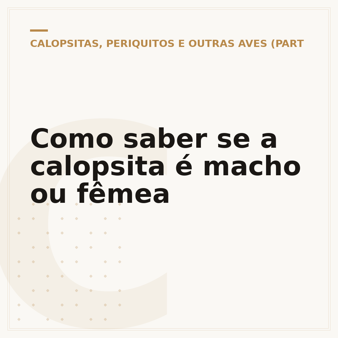 Como saber se a calopsita é macho ou fêmea