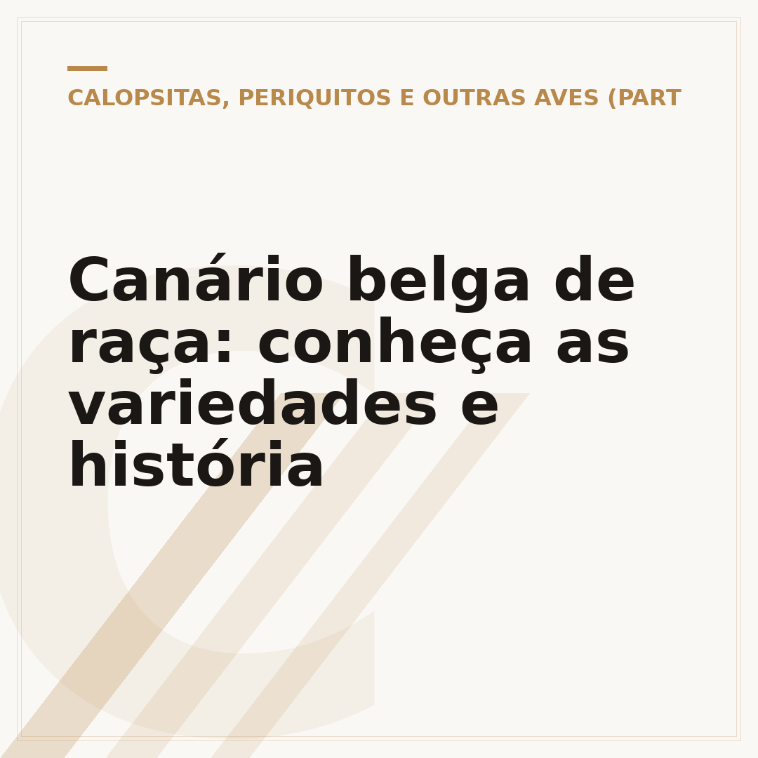 Canário belga de raça: conheça as variedades e história