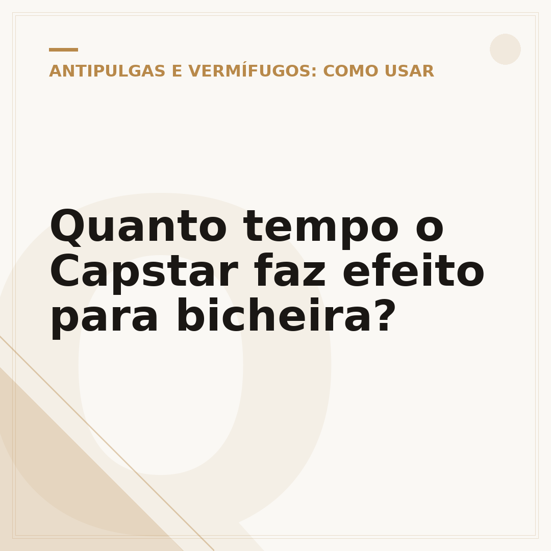 Quanto tempo o Capstar faz efeito para bicheira?