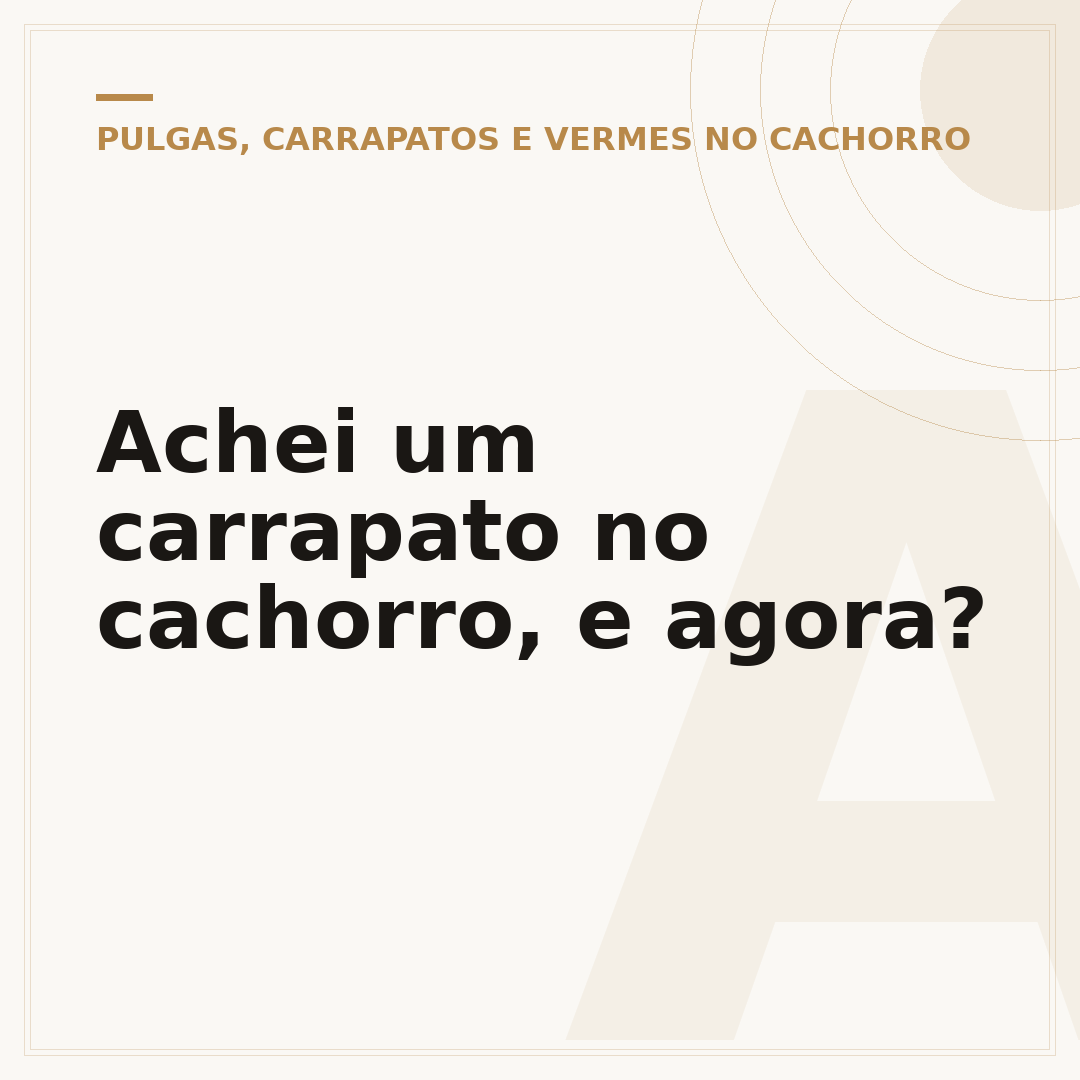 Achei um carrapato no cachorro, e agora?