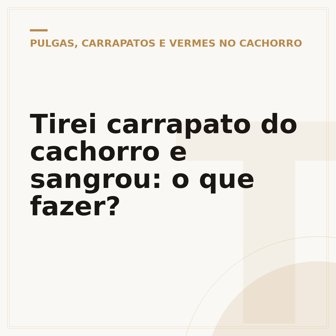 Tirei carrapato do cachorro e sangrou: o que fazer?