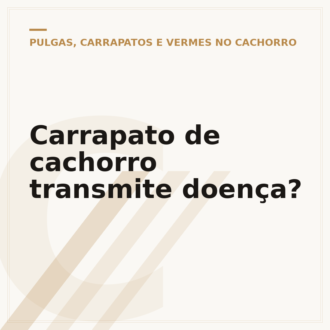 Carrapato de cachorro transmite doença?