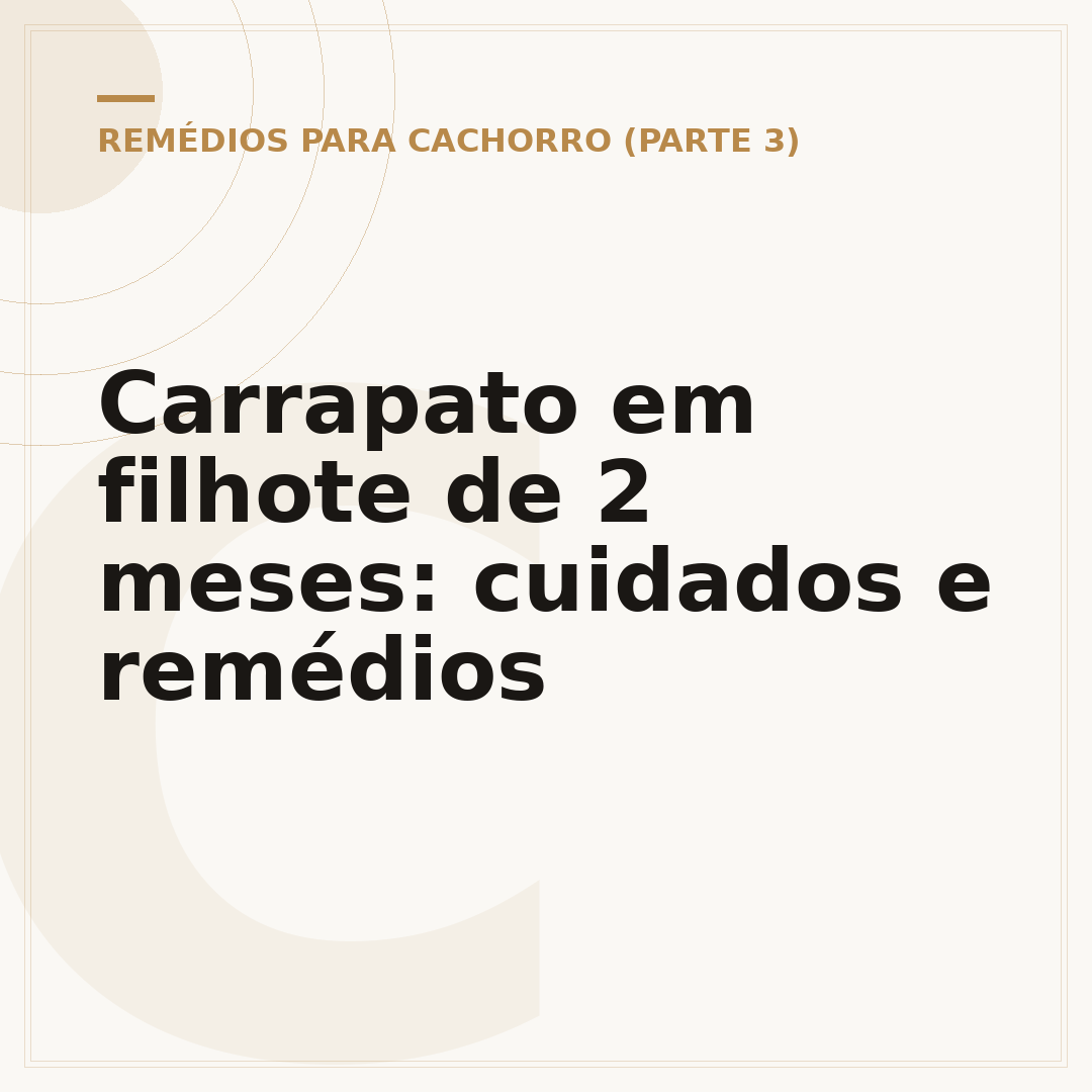 Carrapato em filhote de 2 meses: cuidados e remédios