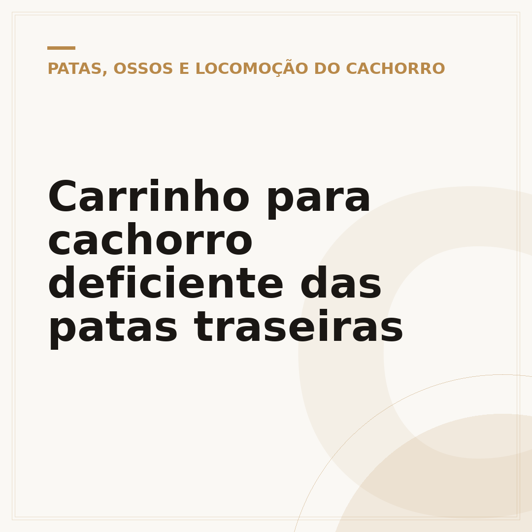 Carrinho para cachorro deficiente das patas traseiras
