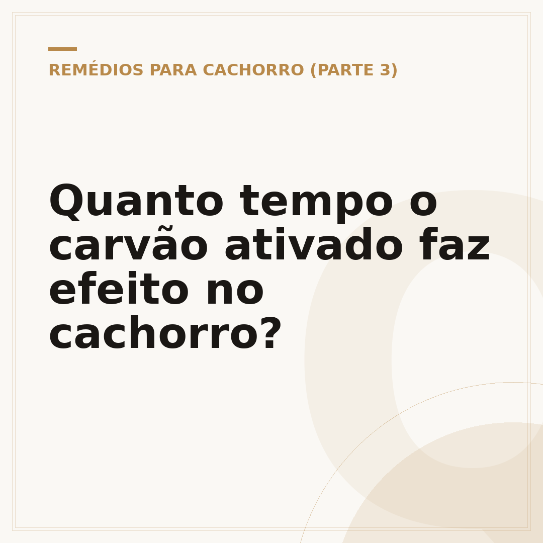 Quanto tempo o carvão ativado faz efeito no cachorro?