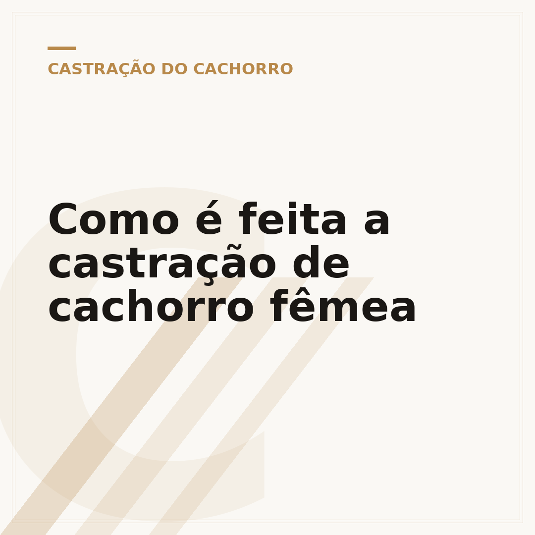 Como é feita a castração de cachorro fêmea