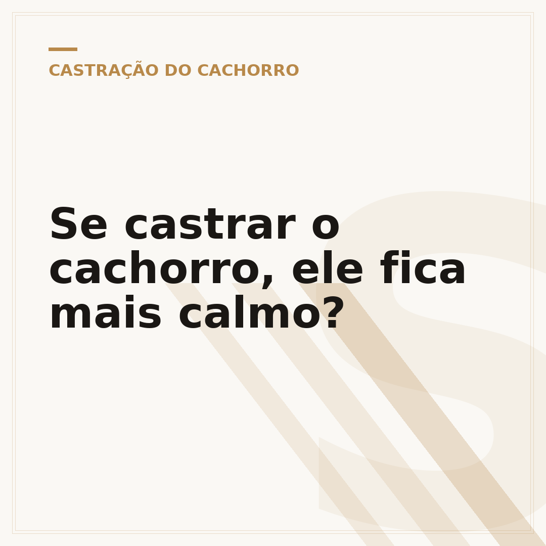 Se castrar o cachorro, ele fica mais calmo?