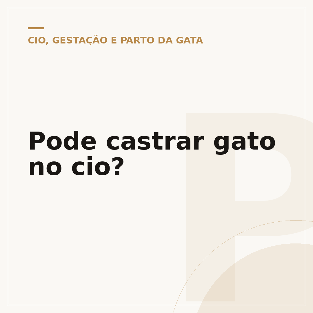 Pode castrar gato no cio?
