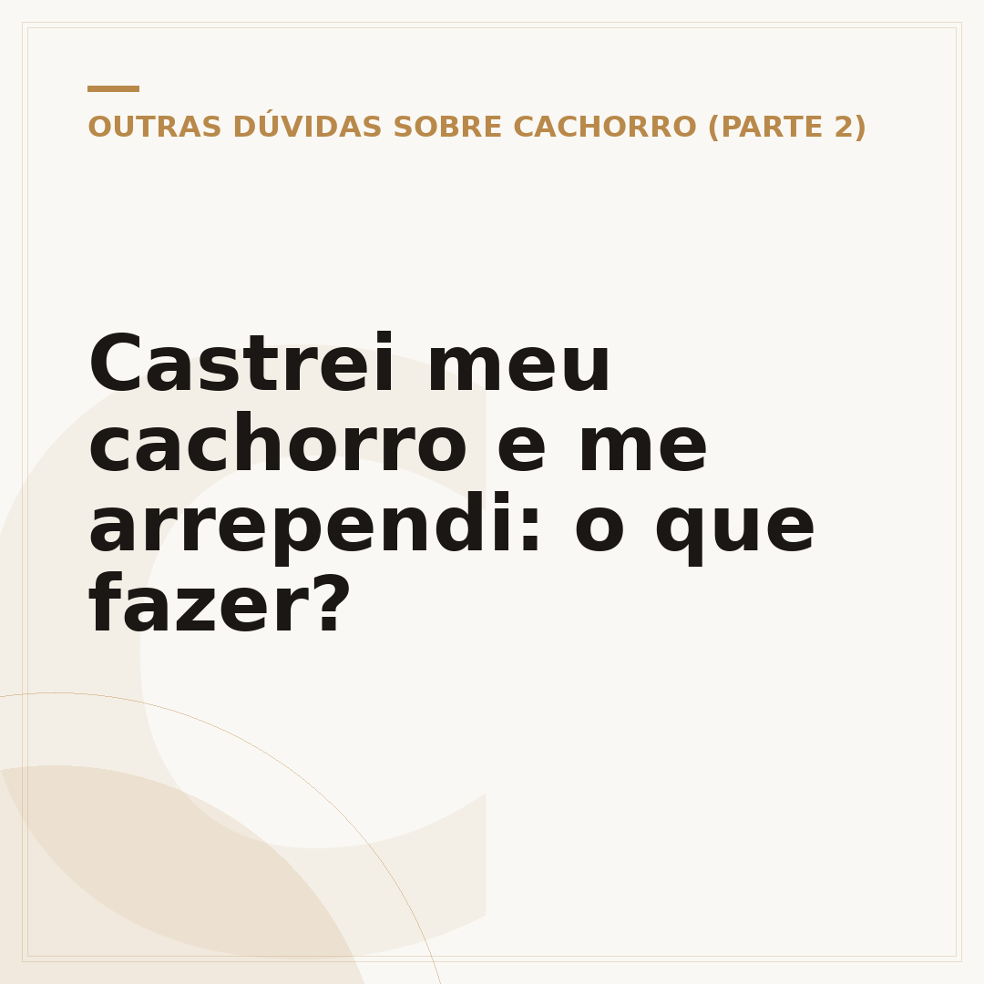 Castrei meu cachorro e me arrependi: o que fazer?