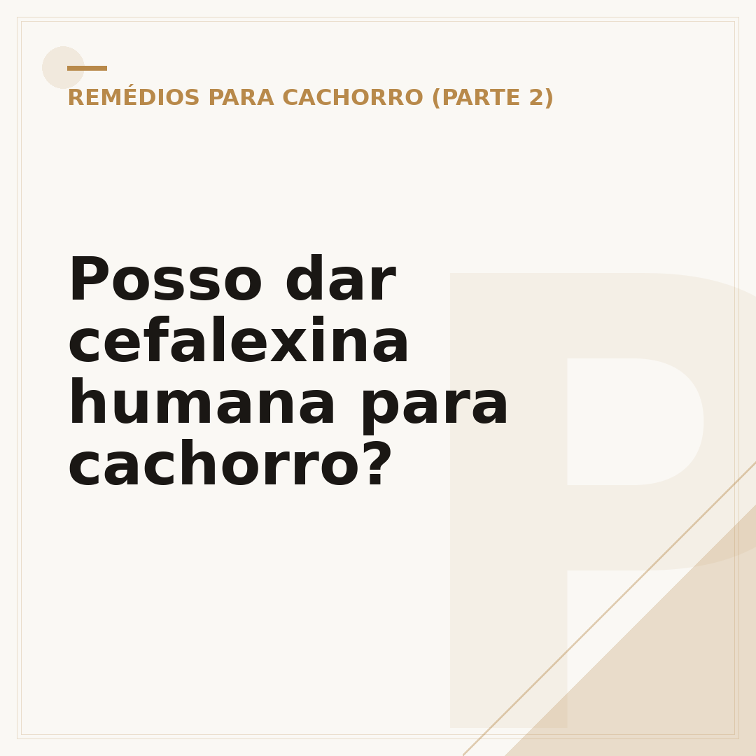 Posso dar cefalexina humana para cachorro?
