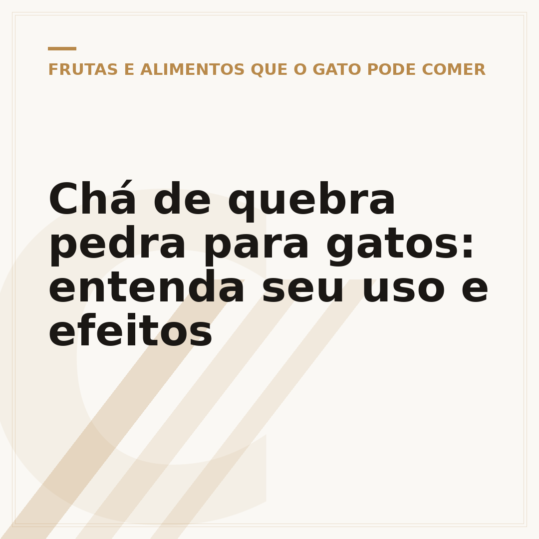 Chá de quebra pedra para gatos: entenda seu uso e efeitos