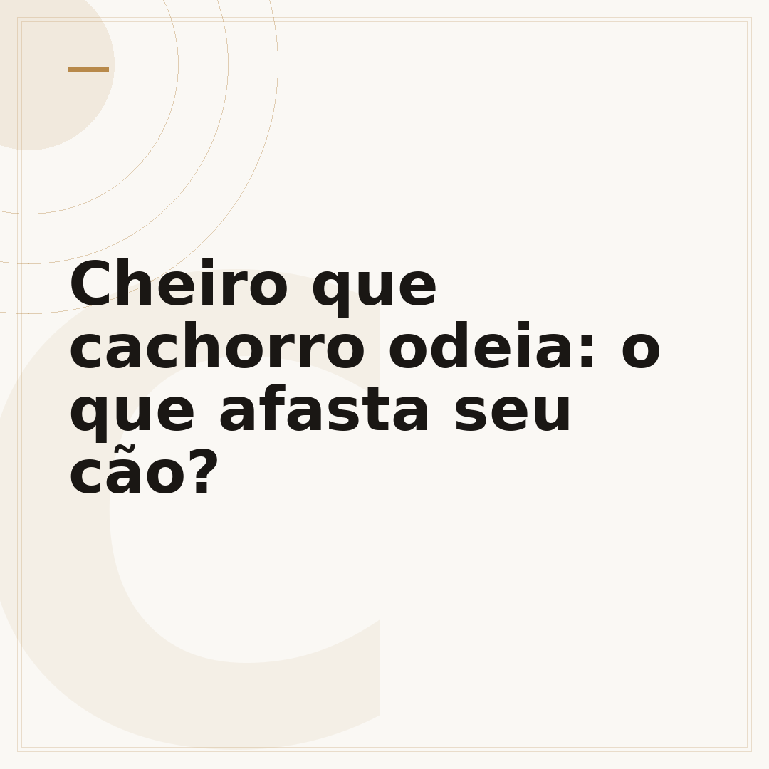 Cheiro que cachorro odeia: o que afasta seu cão?