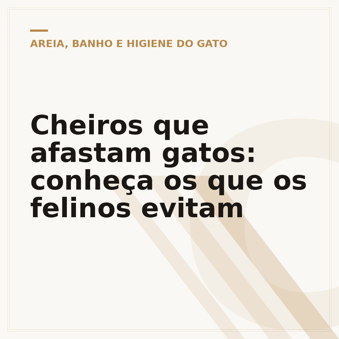 Cheiros que afastam gatos: conheça os que os felinos evitam