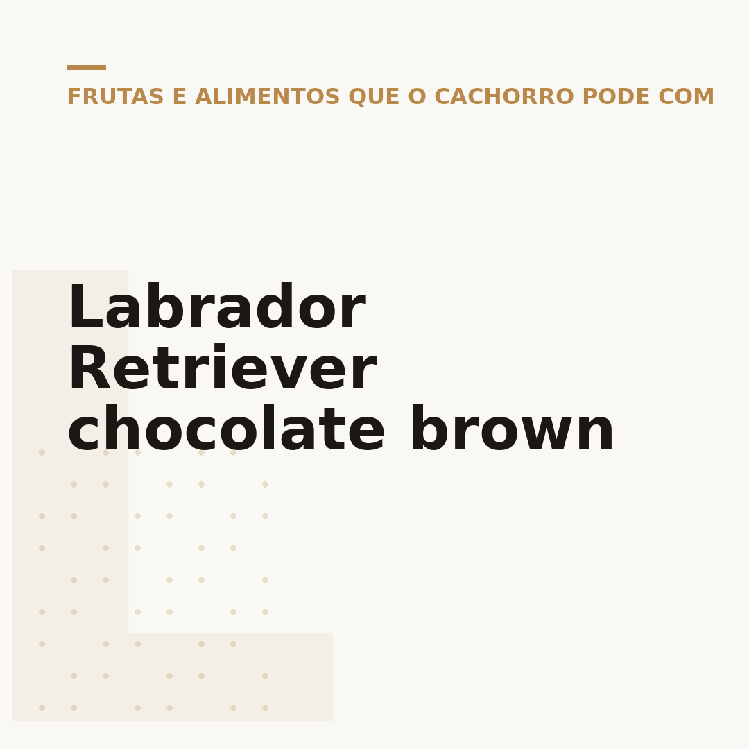Labrador Retriever chocolate brown