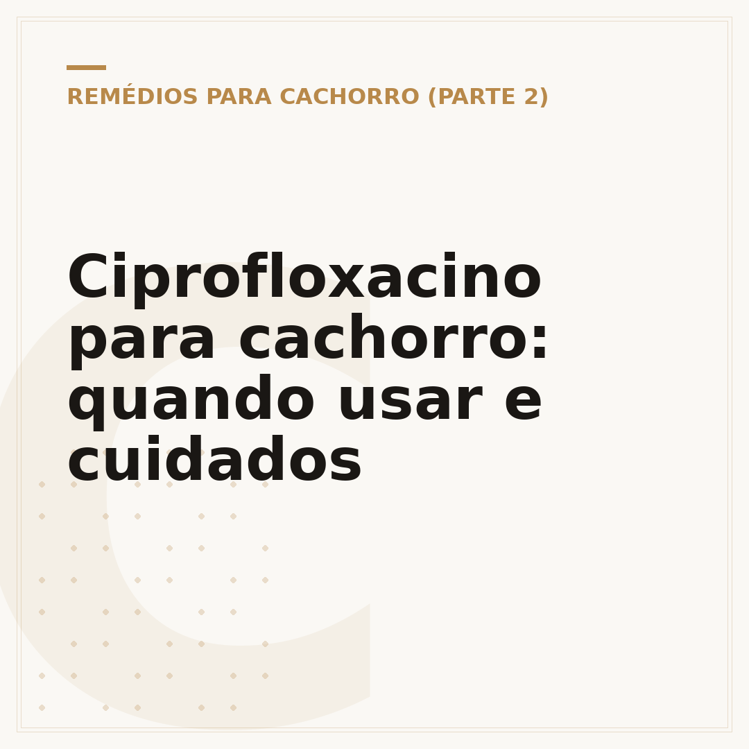 Ciprofloxacino para cachorro: quando usar e cuidados