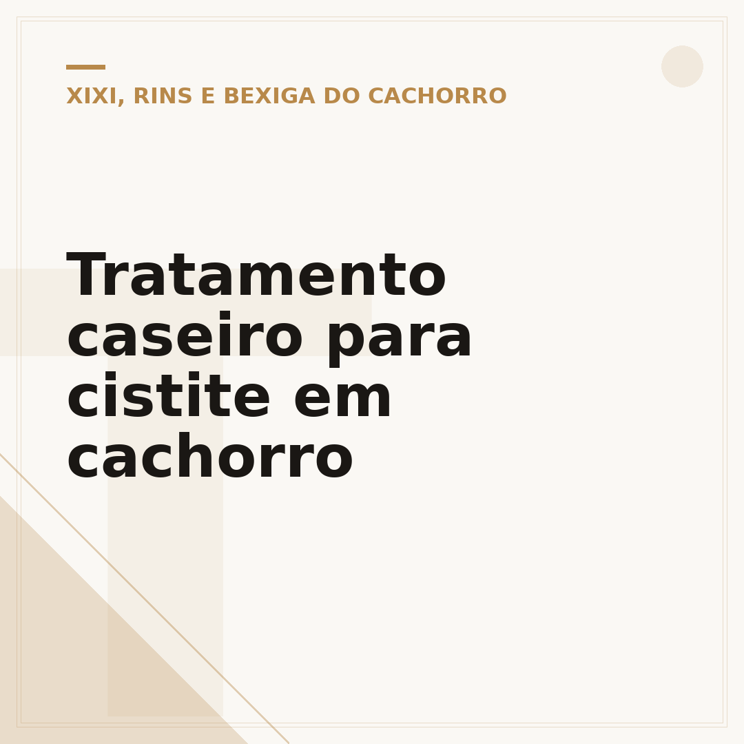 Tratamento caseiro para cistite em cachorro