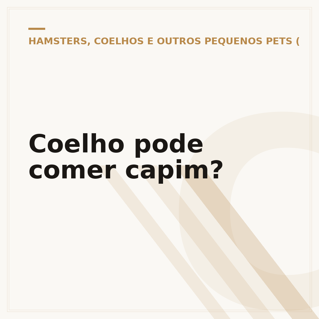 Coelho pode comer capim?