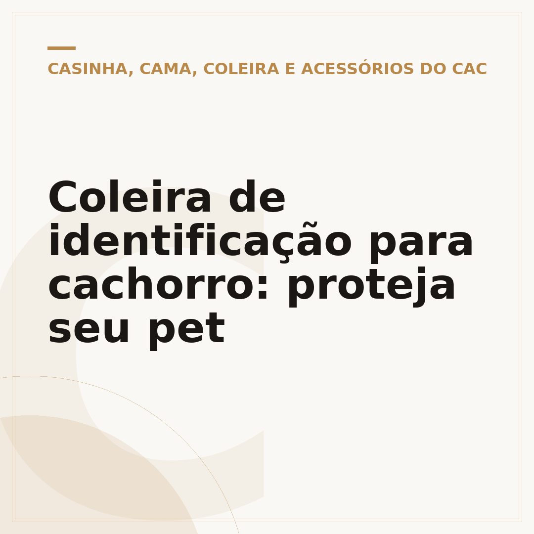 Coleira de identificação para cachorro: proteja seu pet
