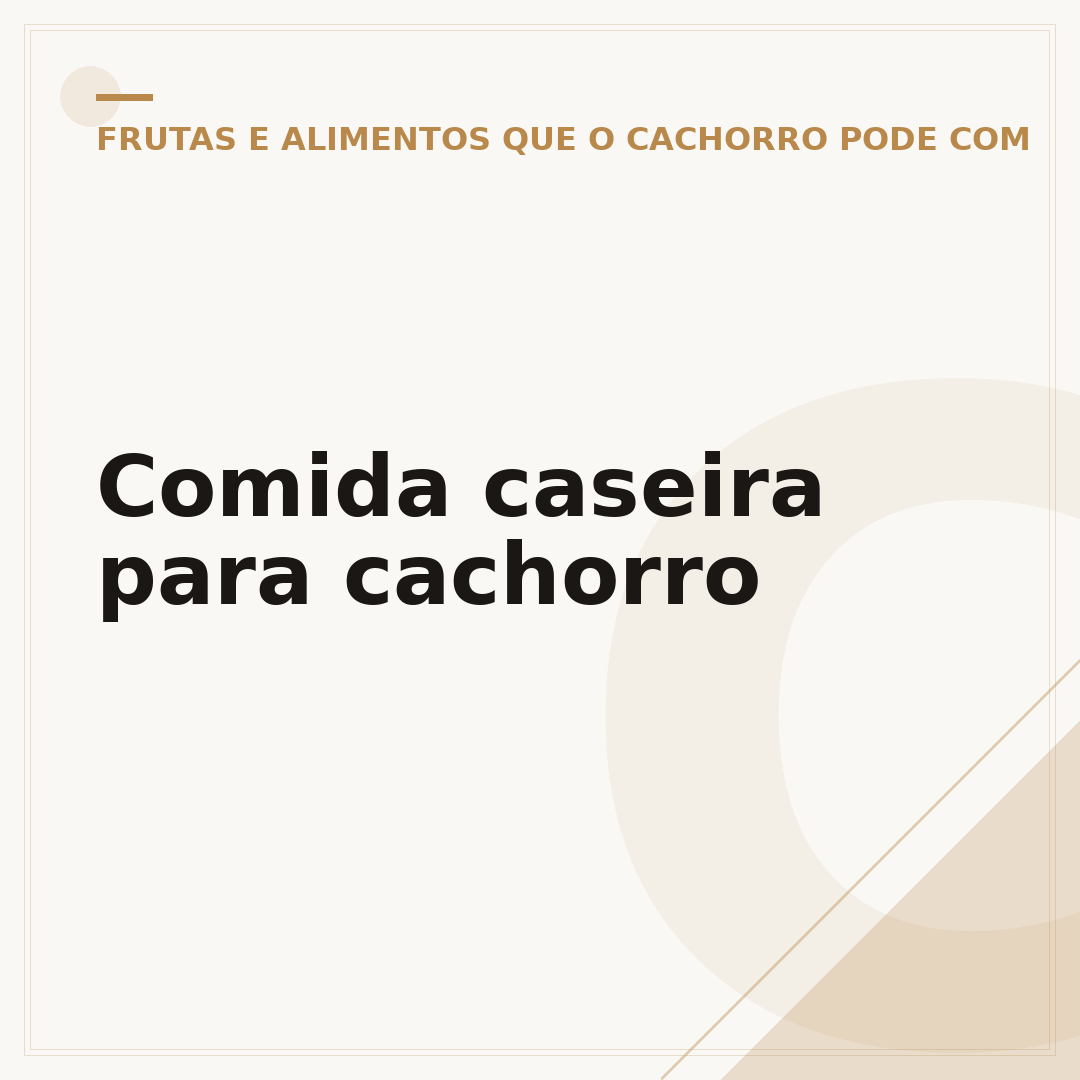 Comida caseira para cachorro