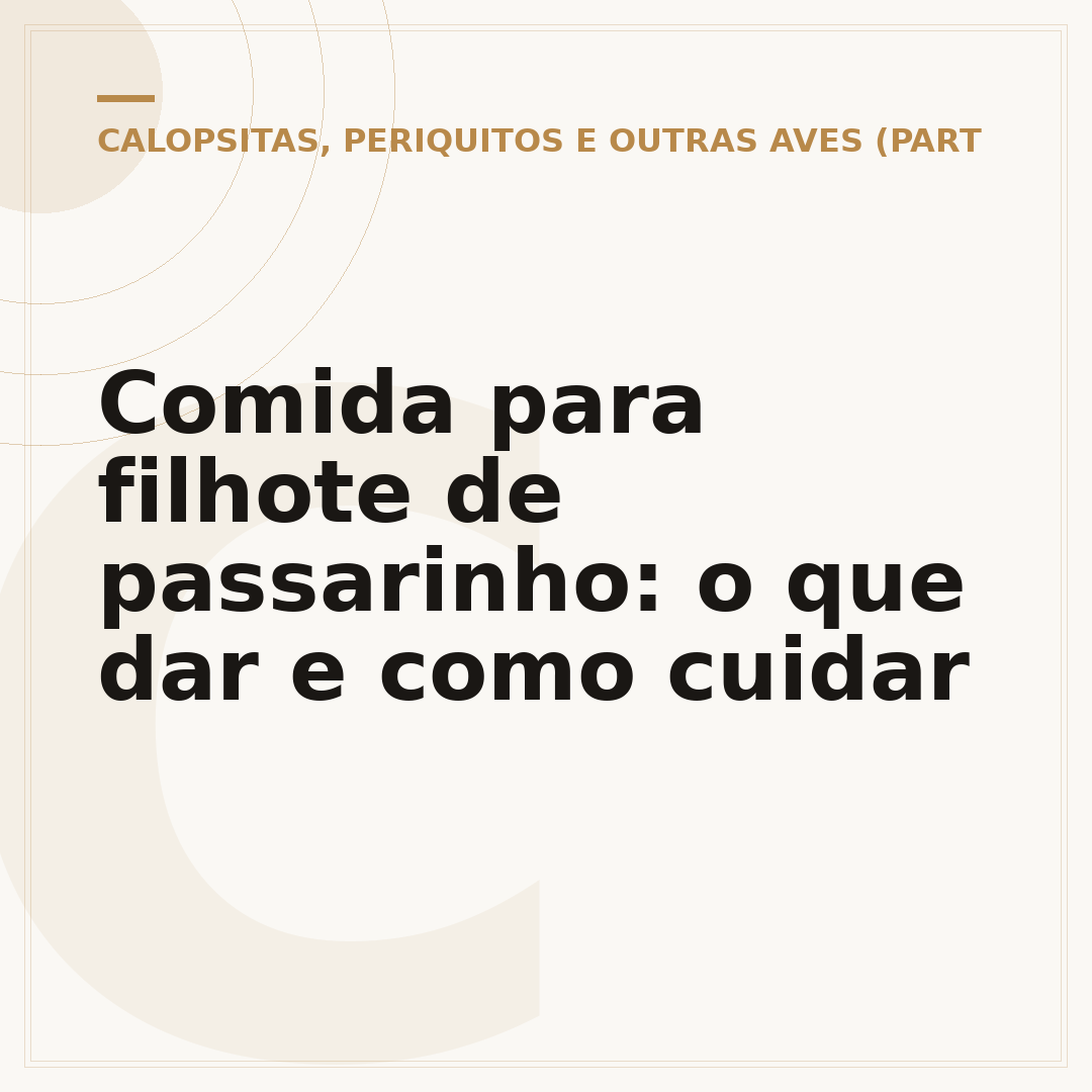 Comida para filhote de passarinho: o que dar e como cuidar
