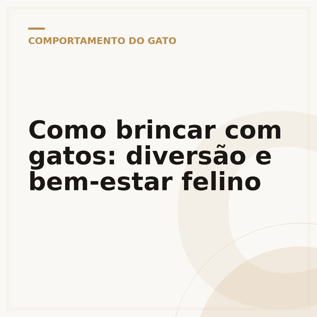 Como brincar com gatos: diversão e bem-estar felino