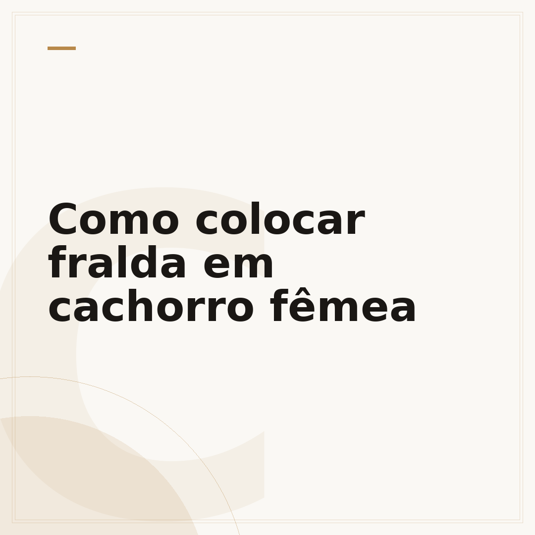 Como colocar fralda em cachorro fêmea
