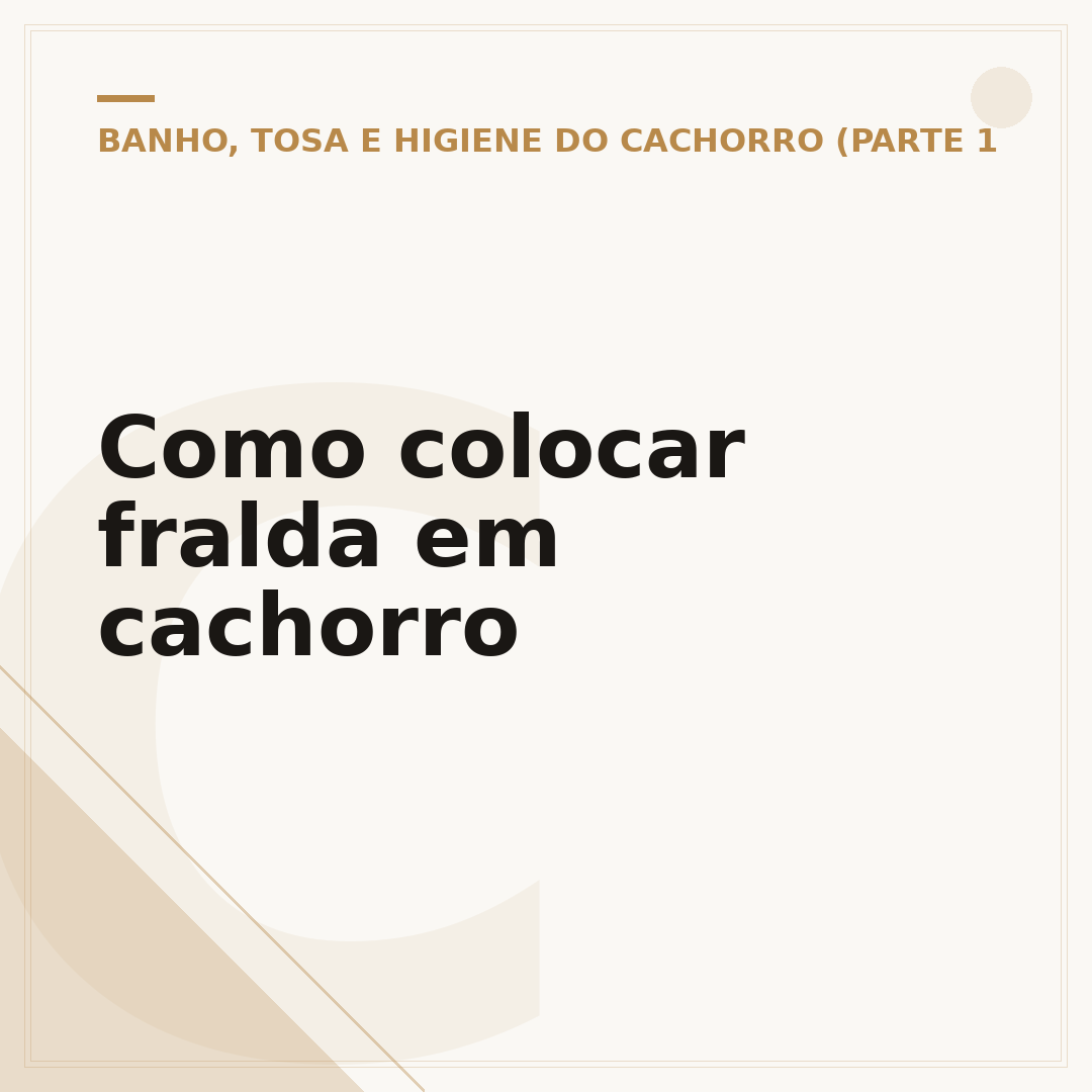 Como colocar fralda em cachorro